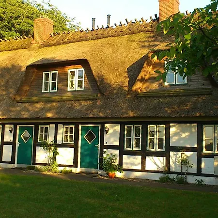Ferienlandhaus * Steinfeld (Schleswig-Holstein)
