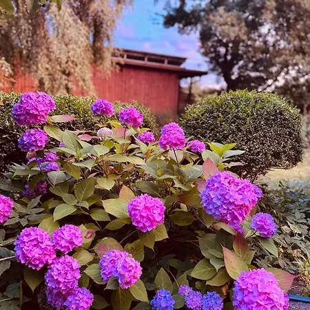 Ferienlandhaus Апартаменты